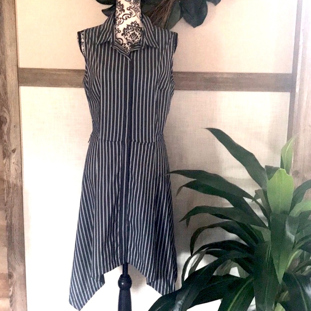 Pinstriped Asymmetric Flared Dress